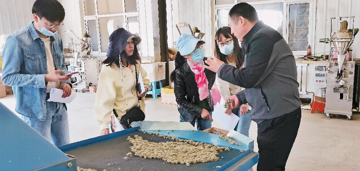宁夏社会科学院青年科技托举人才调研彭阳县古城镇艾草扶贫车间，为脱贫攻坚与乡村振兴接续发展问诊把脉。.jpg