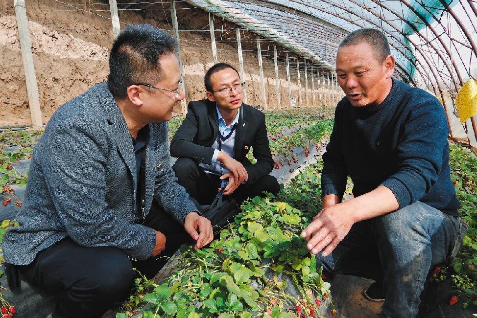 中卫市纪委监委干部在沙坡头区东园镇检查脱贫攻坚与乡村振兴政策衔接落实情况.jpg