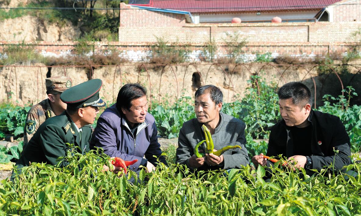 隆德县人武部邀请农业技术人员为村民传授技术.jpg