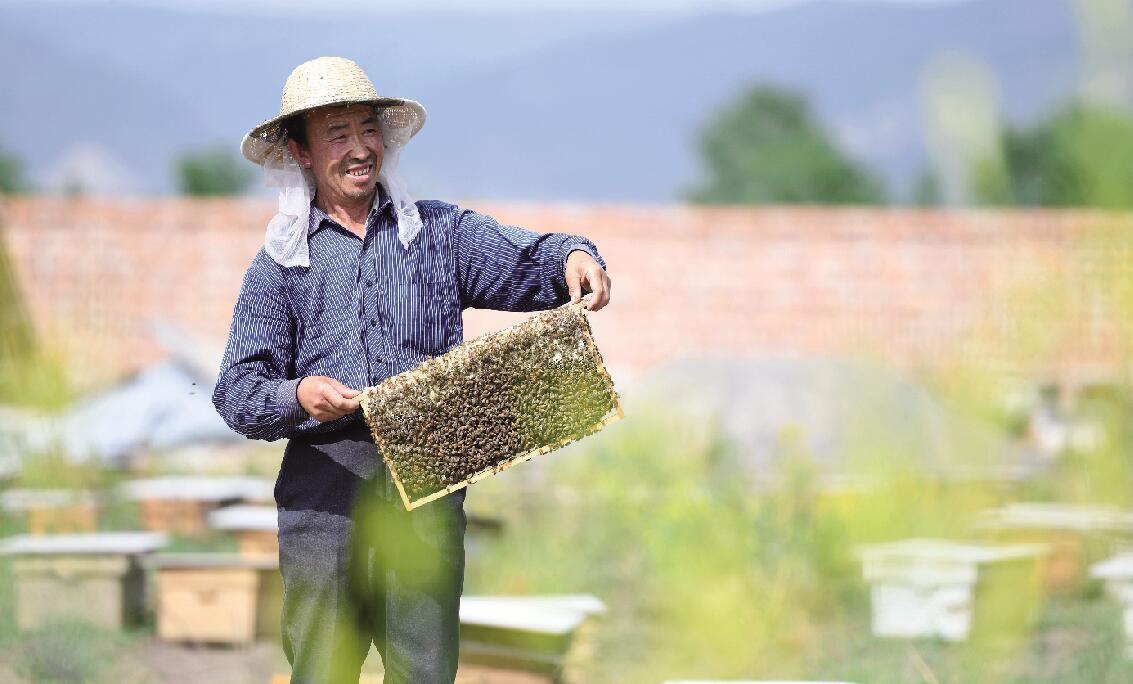 泾源县立足资源禀赋，将中华蜜蜂养殖作为脱贫富民的主导产业。  潘江 摄.jpg