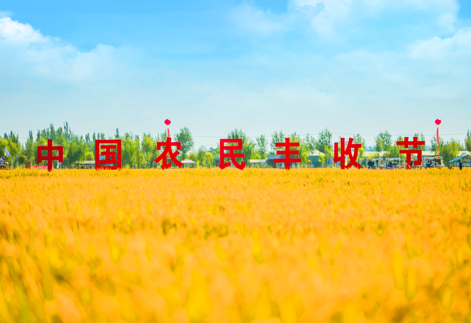 屏幕截图 2025-09-30 160545.png