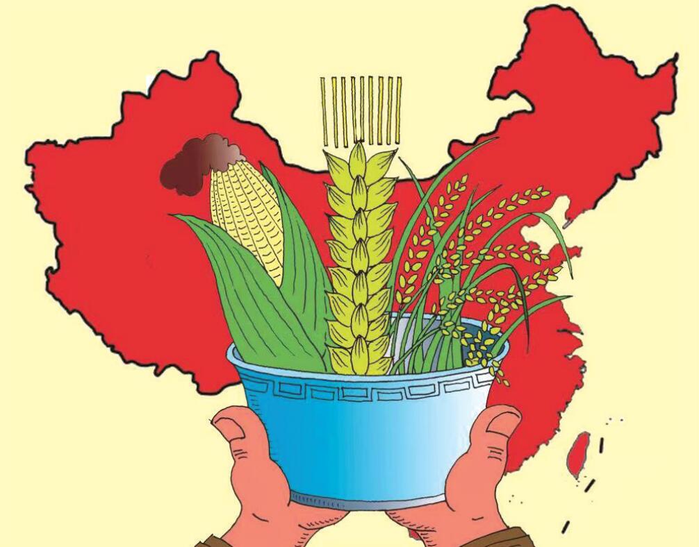 手中有粮 心中不慌 张天赐（陕西）.jpg